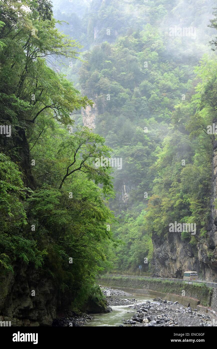 Shennongjia. 1er mai 2015. Photo prise le 1 mai 2015 affiche le décor du district forestier de Shennongjia de la province du Hubei en Chine centrale. Shennongjia est célèbre pour sa réserve naturelle nationale et les zones humides ainsi qu'une forte diversité végétale. Shennongding, avec une altitude de 3105.4 mètres, est le sommet le plus élevé dans le centre de la Chine. © Du Huaju/Xinhua/Alamy Live News Banque D'Images