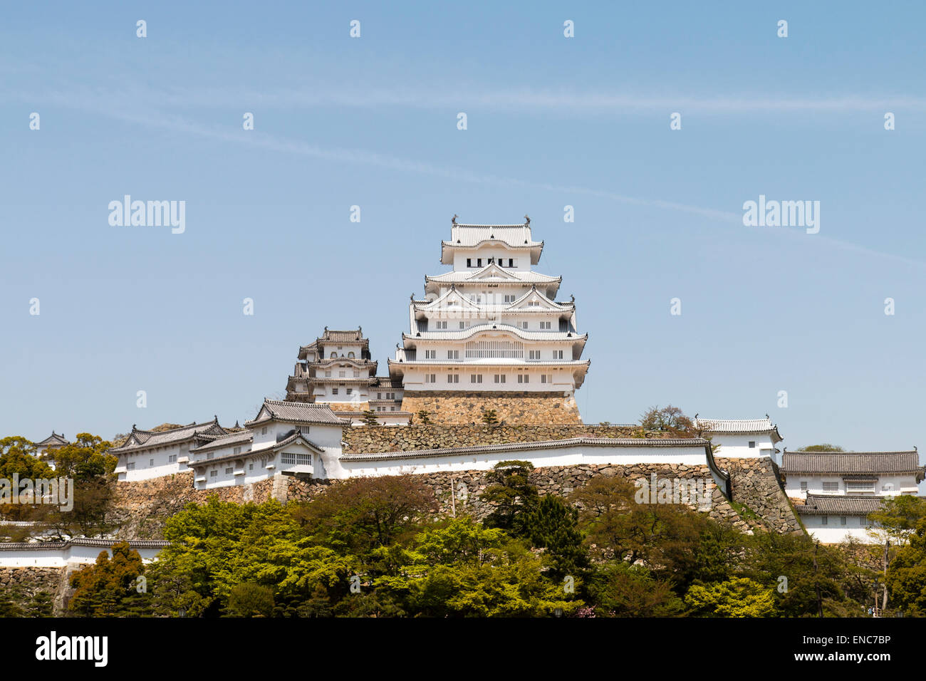 Le château Himeji restauré, vue du point de vue classique du parc du château. Un blanc brillant contre un ciel bleu sans nuages au printemps Banque D'Images