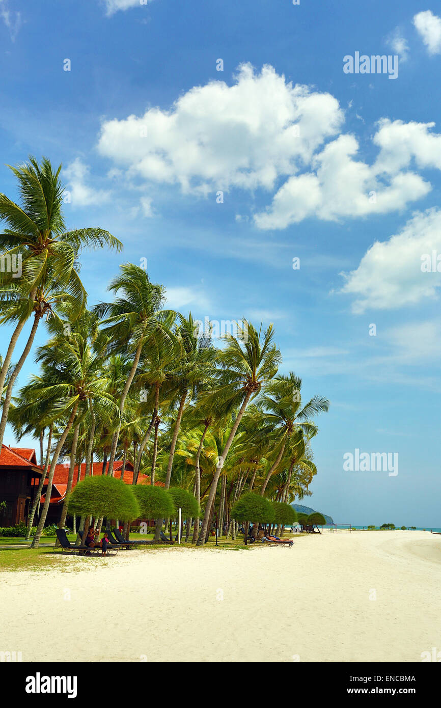 La plage de sable tropicale avec palmiers à Pantai Cenang, Langkawi, Malaisie Banque D'Images