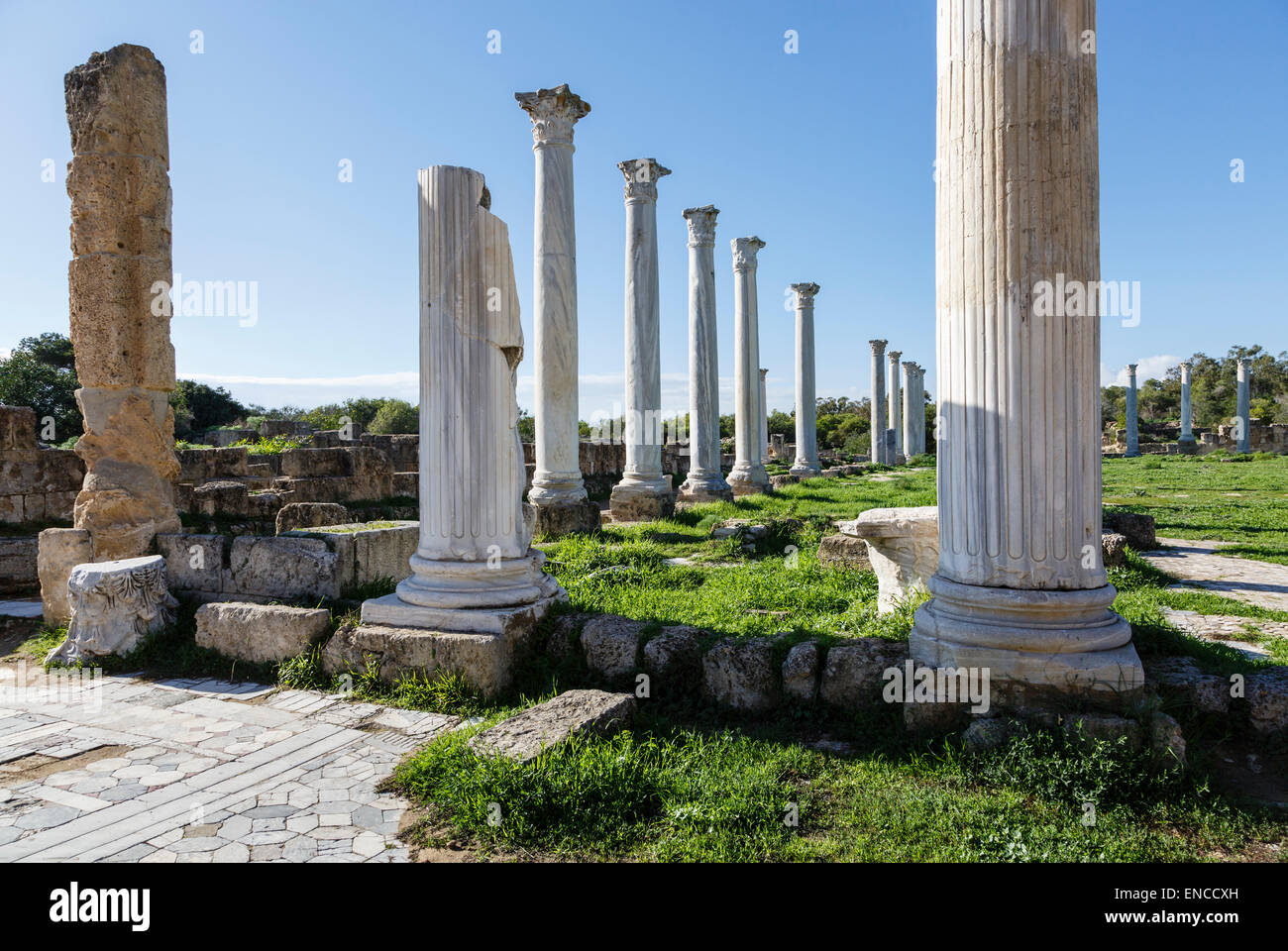 Ruines de Salamis, près de Famagouste (Gazimagusa), Chypre du Nord Banque D'Images
