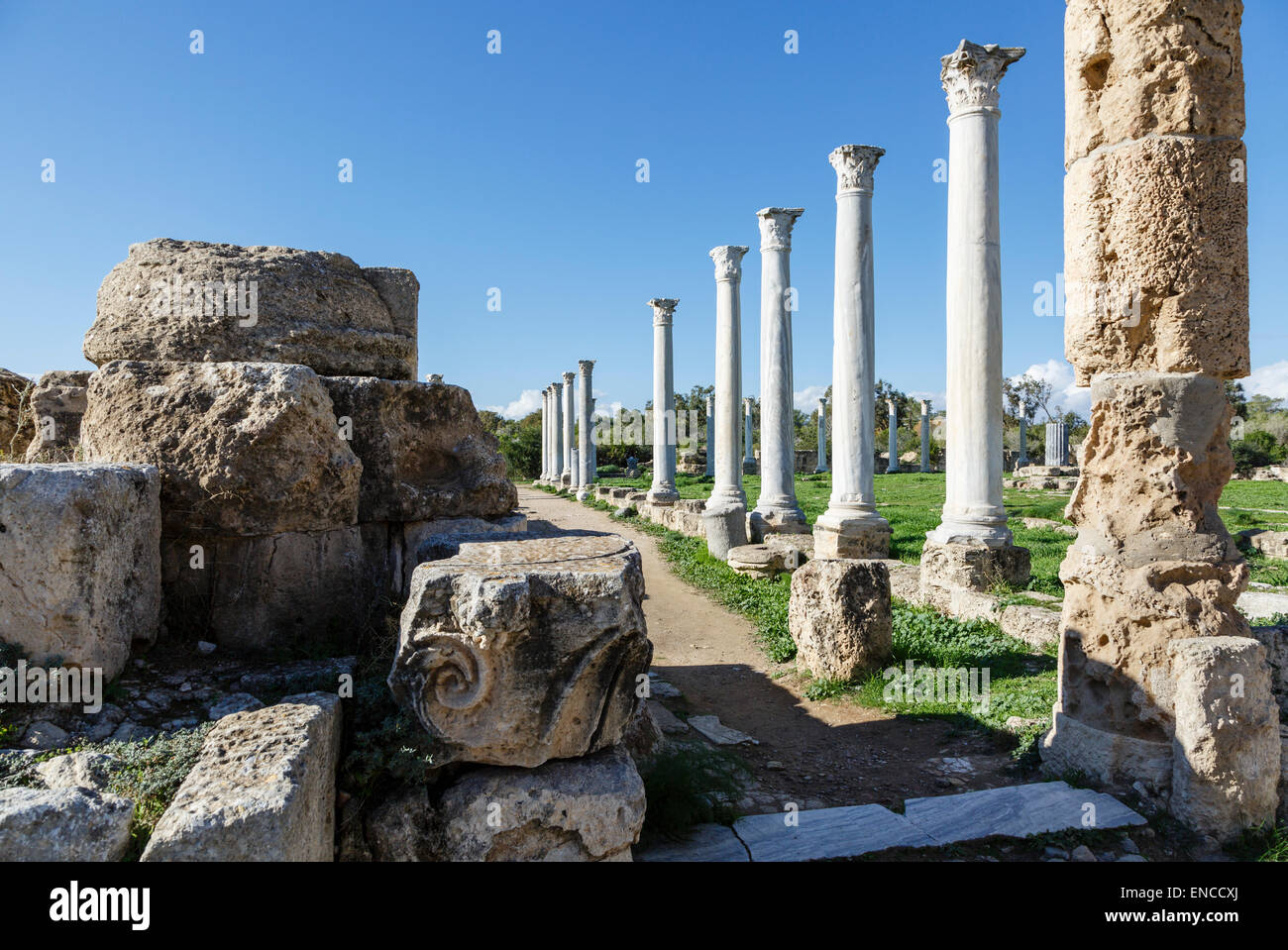 Ruines de Salamis, près de Famagouste (Gazimagusa), Chypre du Nord Banque D'Images