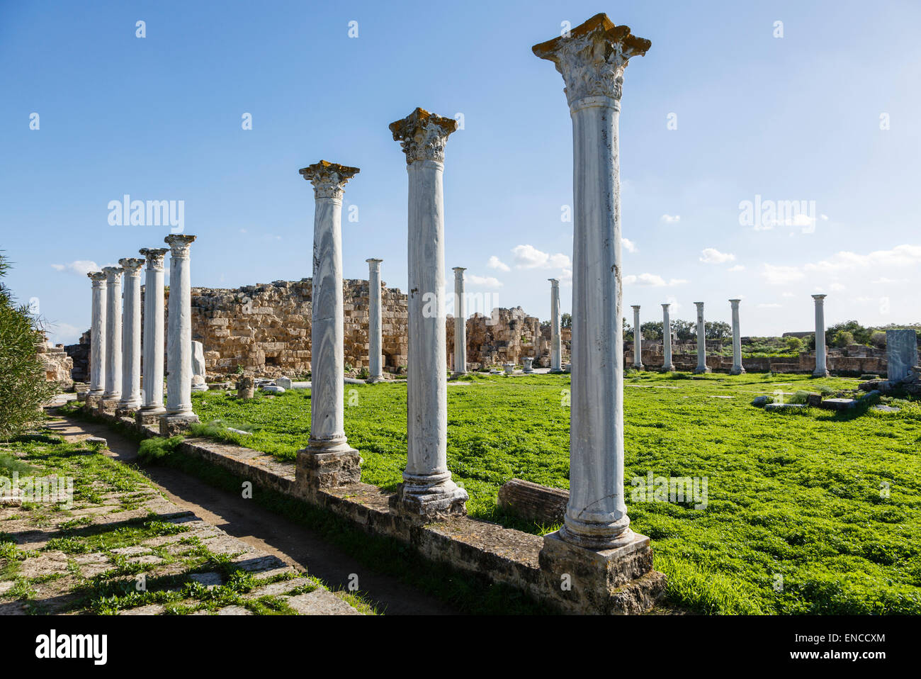 Ruines de Salamis, près de Famagouste (Gazimagusa), Chypre du Nord Banque D'Images
