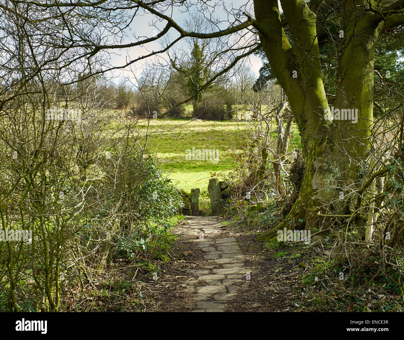 Paysages du Derbyshire Banque D'Images