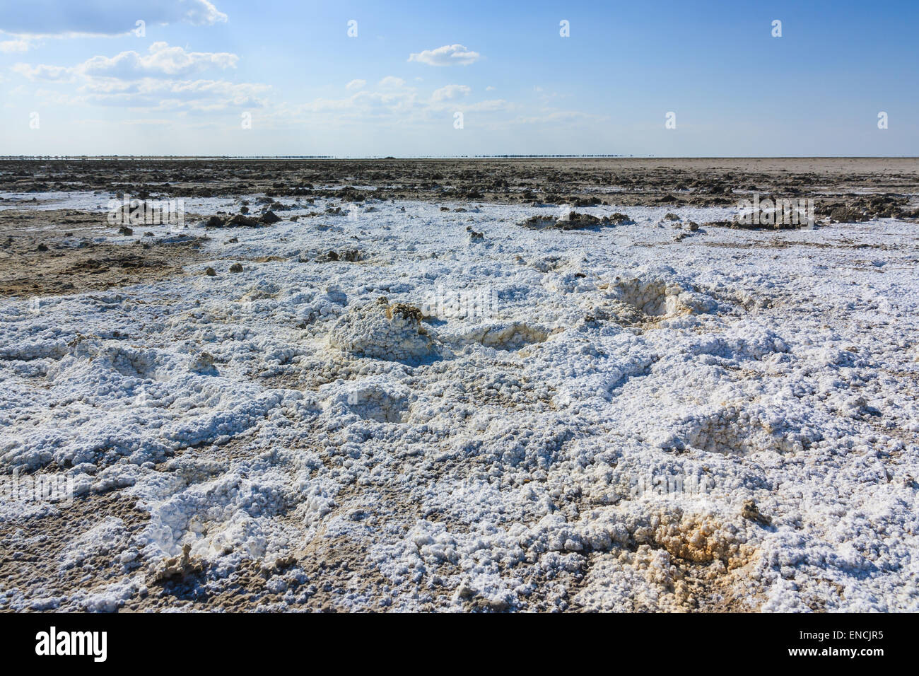 Sel sans fin, pan Botswana Kubu Island, Afrique. Les minéraux de lac préhistorique. Banque D'Images