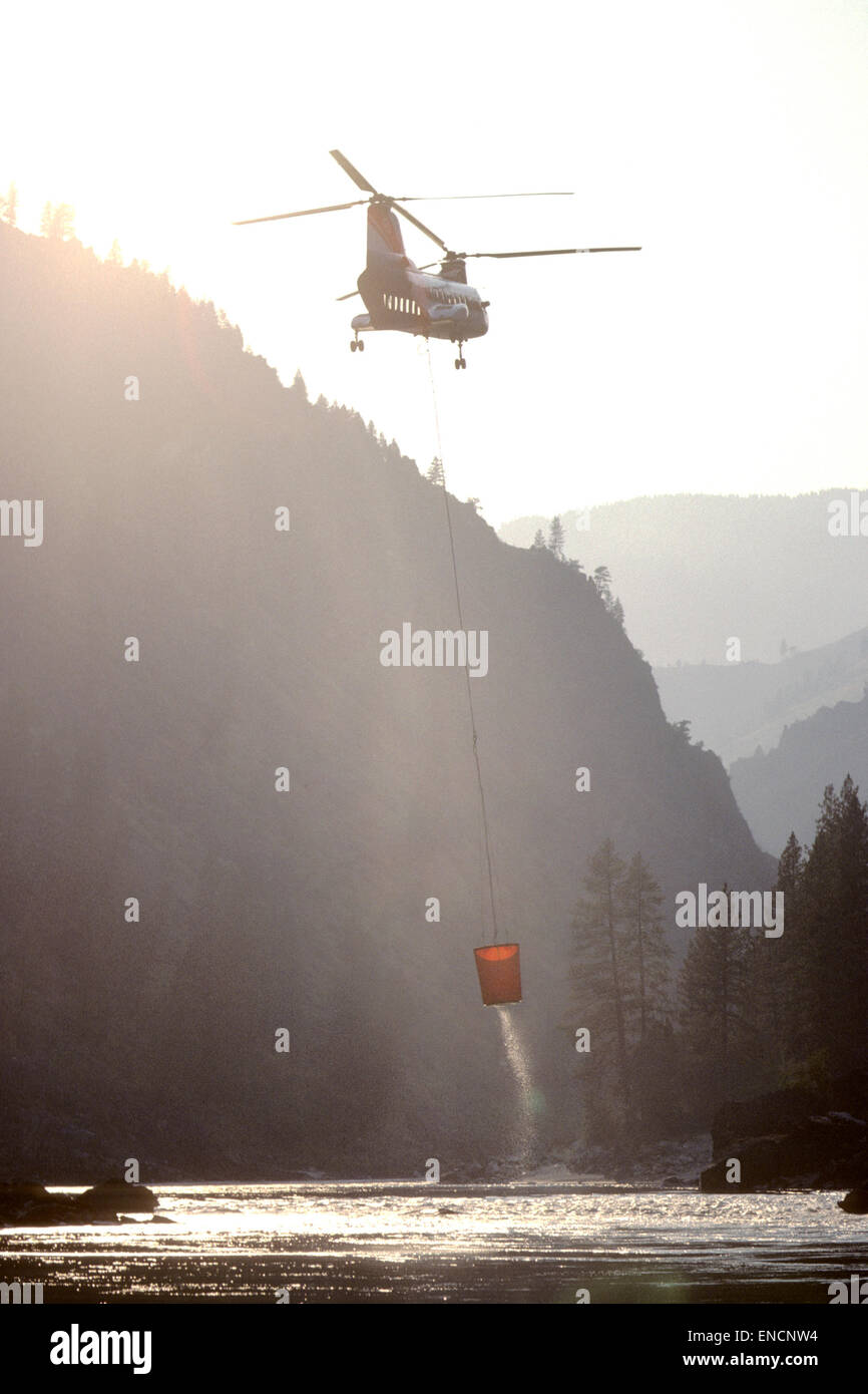 Hélicoptère Chinook transporter de l'eau pour lutter contre les incendies de forêt Banque D'Images