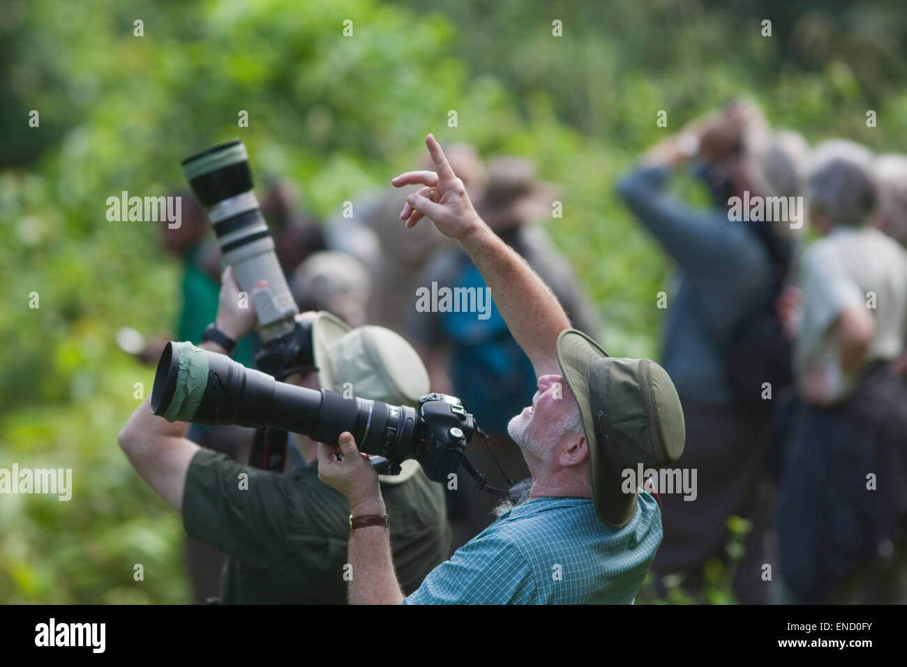 Les photographes éco-touristique suite à l'intérieur de forêts humides de sujets au Ghana. L'Afrique de l'Ouest. Banque D'Images