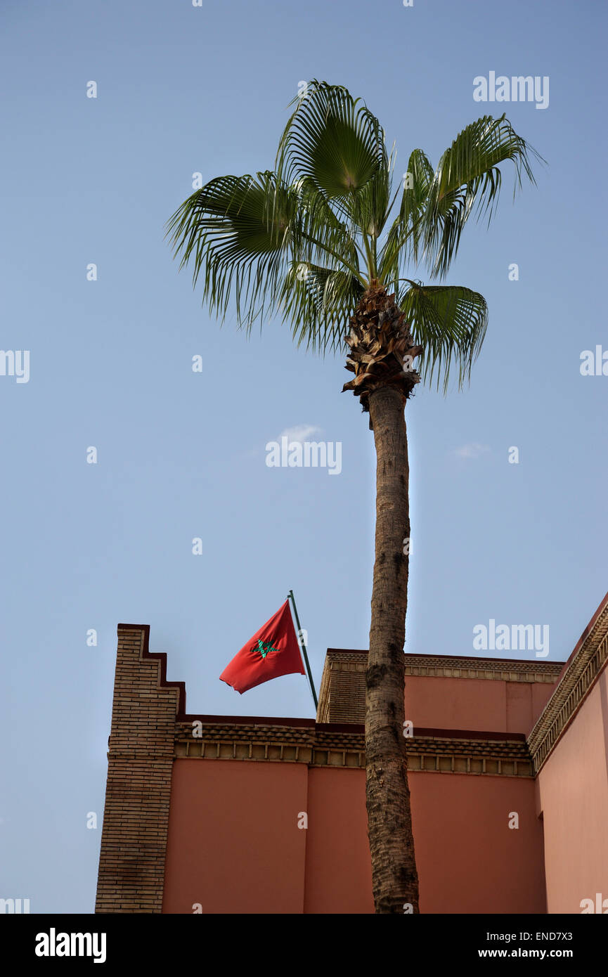 Drapeau marocain survolant le palais royal derrière un palmier dans marrakech Banque D'Images