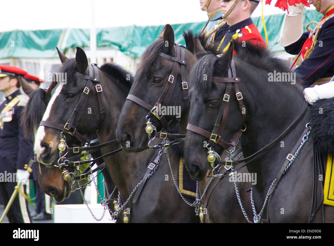 Château de Richmond, North Yorkshire, UK. 2 mai, 2015. Fusion de la 9e/12e Royal Lancers (Prince of Wales's) et le Queen's Royal Lanciers, Château de Richmond, North Yorkshire, Royaume-Uni Crédit : Robert Cole/Alamy Live News Banque D'Images