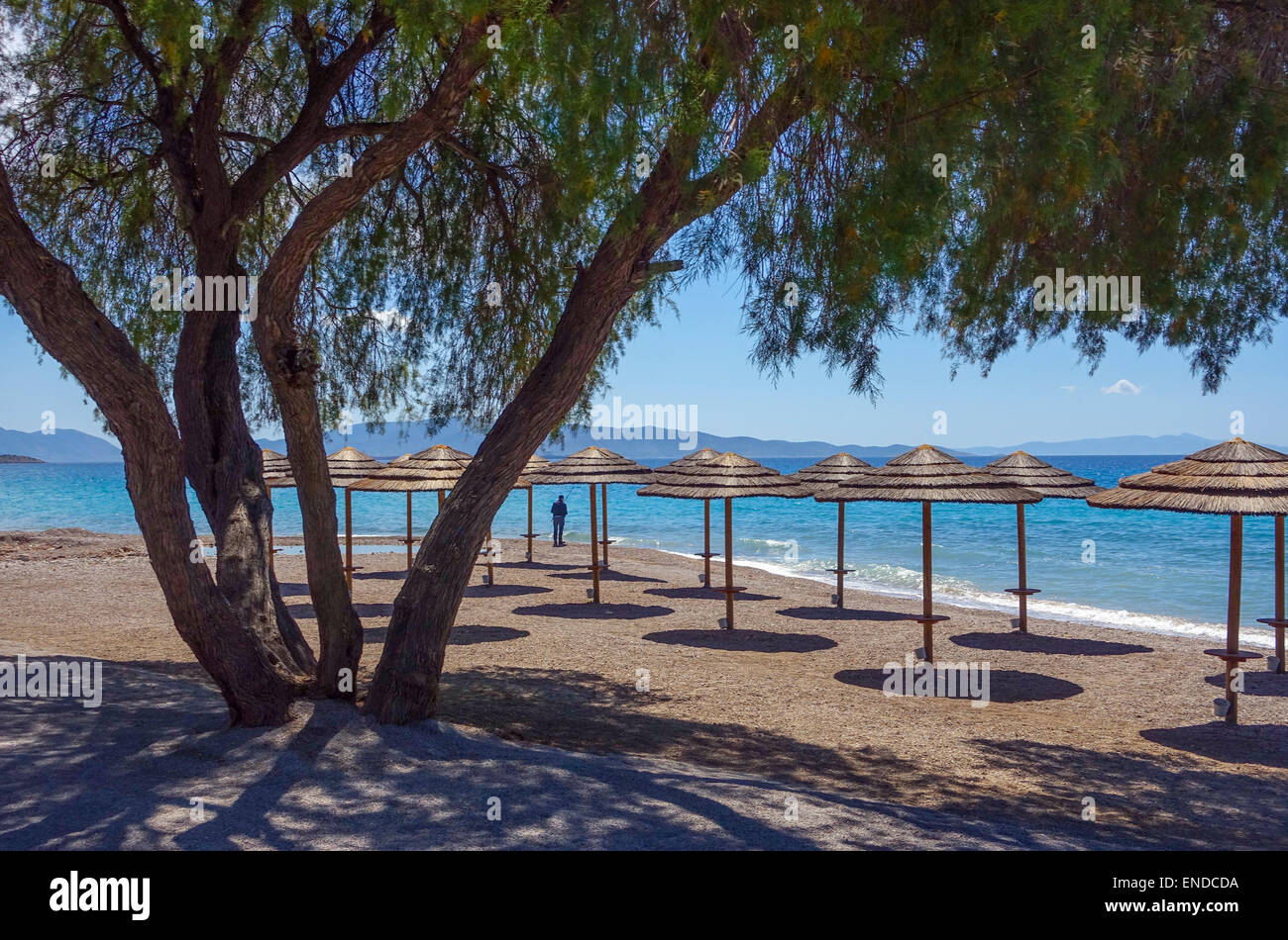 Couverts Palm parasols de plage avec mer bleue et le ciel et l'ombre des arbres Banque D'Images
