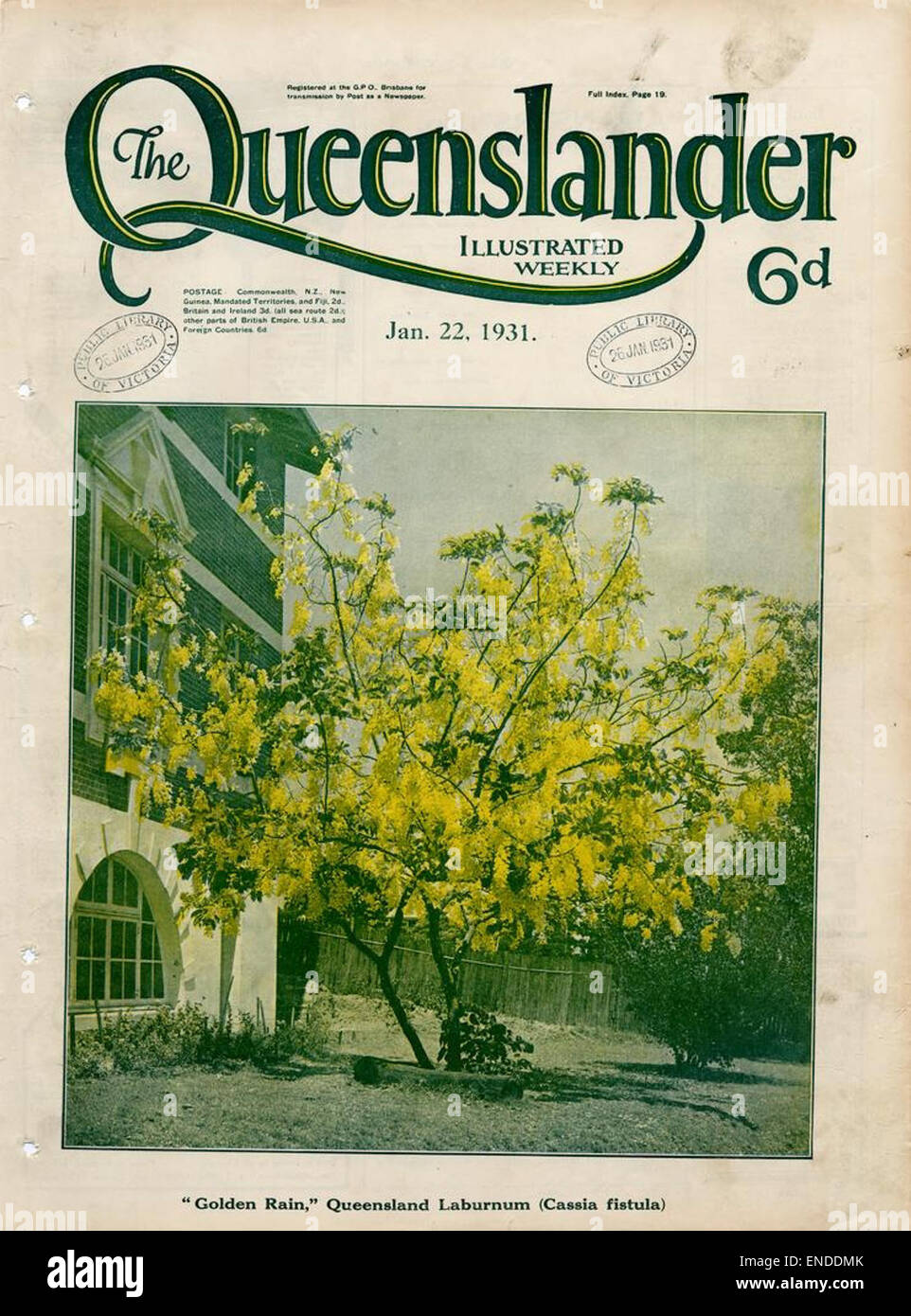 La couverture de *The Queenslander* du 22 janvier 1931 présente une illustration du début du XXe siècle, représentant les thèmes culturels ou politiques populaires de l'époque dans le Queensland, en Australie. L'œuvre reflète des perspectives historiques à travers des médias illustrés. Banque D'Images