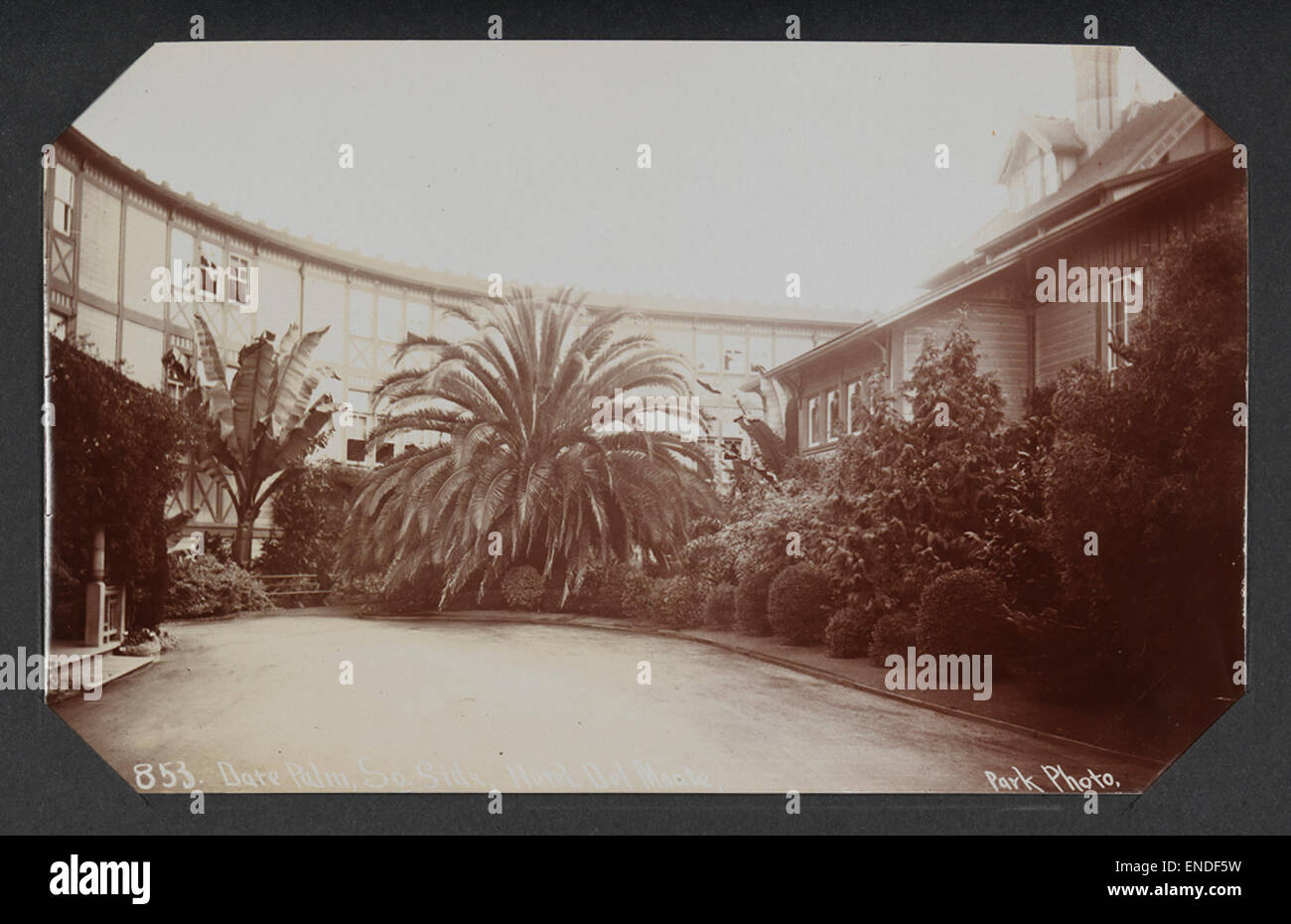 Cette photographie représente un palmier dattier sur le côté sud de l'Hôtel Del Monte, situé en Californie. L'image met en valeur les jardins luxuriants et les palmiers qui caractérisent le parc de l'hôtel et les paysages de jardins de l'Ouest américain. Banque D'Images