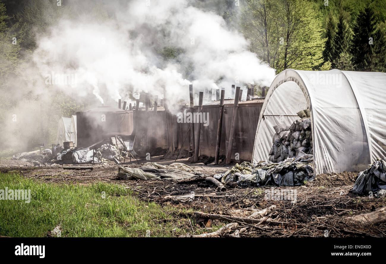 Façon traditionnelle de la production de charbon de bois dans la forêt de Bieszczady, Pologne Banque D'Images