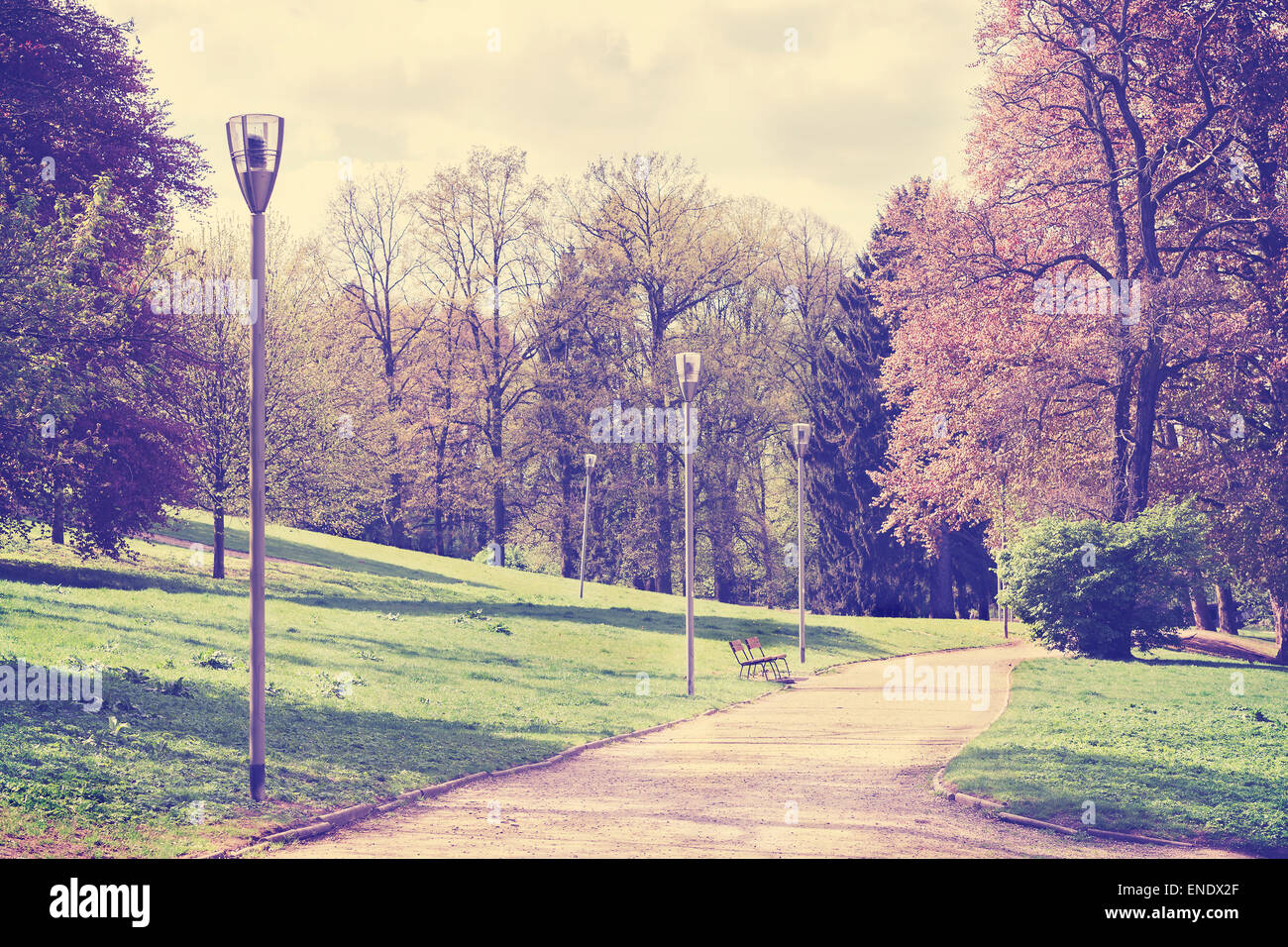 Vintage chemin filtrée dans un parc avec banc et lampes. Banque D'Images