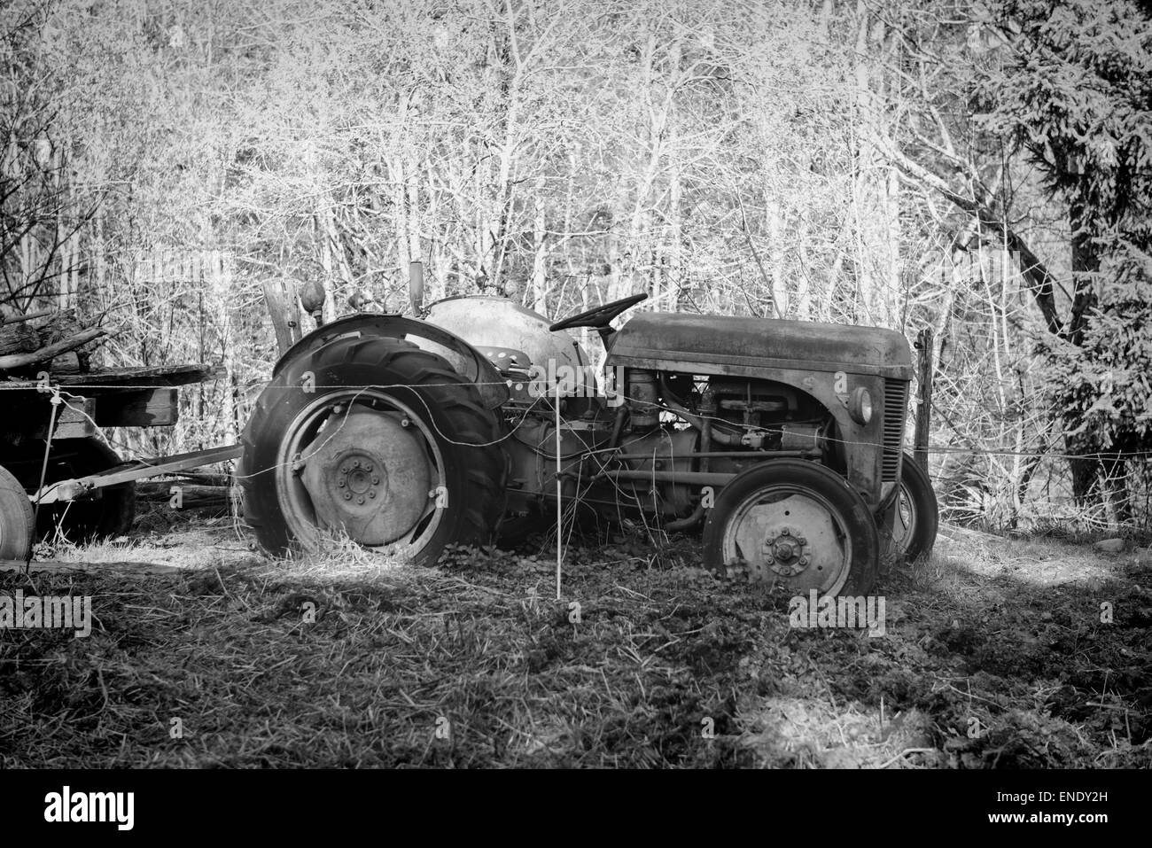 Un vieux tracteur abandonné dans un champ en noir et blanc Banque D'Images