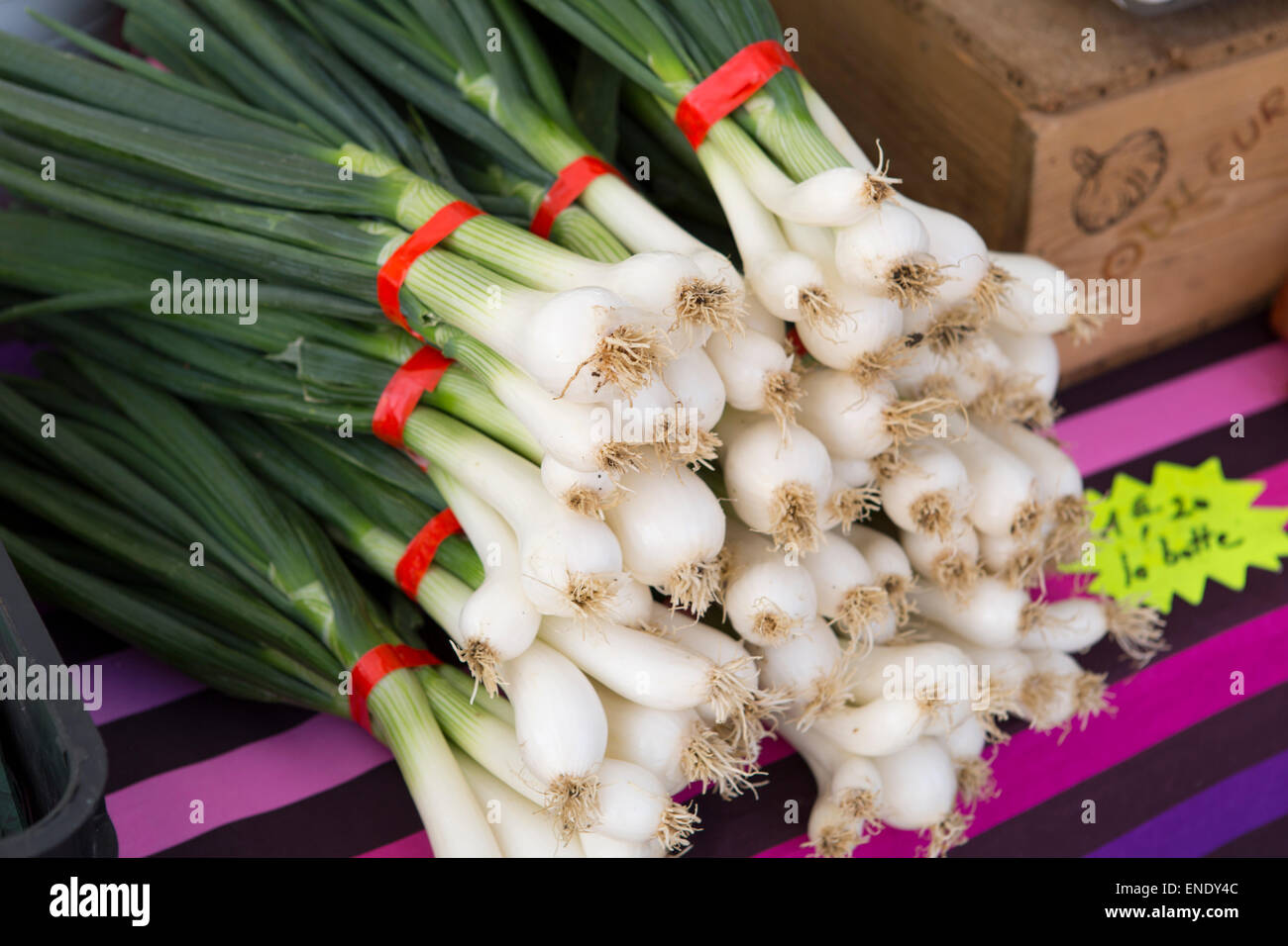 Oignons blancs au marché du dimanche de Montcuq avec des produits alimentaires en France Banque D'Images