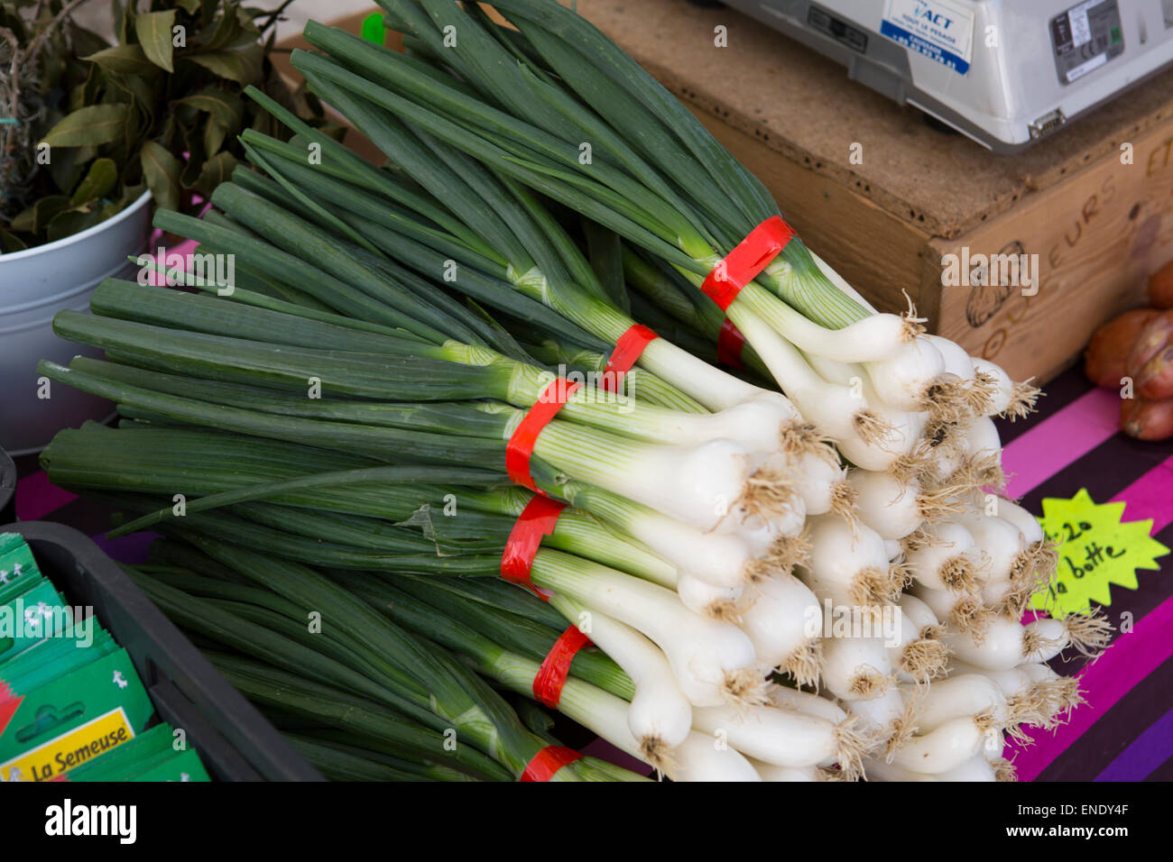 Oignons blancs au marché le dimanche avec des produits alimentaires en France Banque D'Images