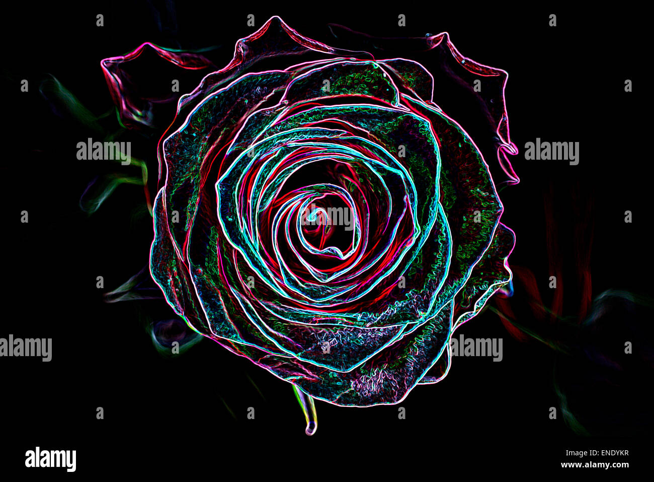 Résumé fond fait de fleur rose néon lumineux, style. Banque D'Images