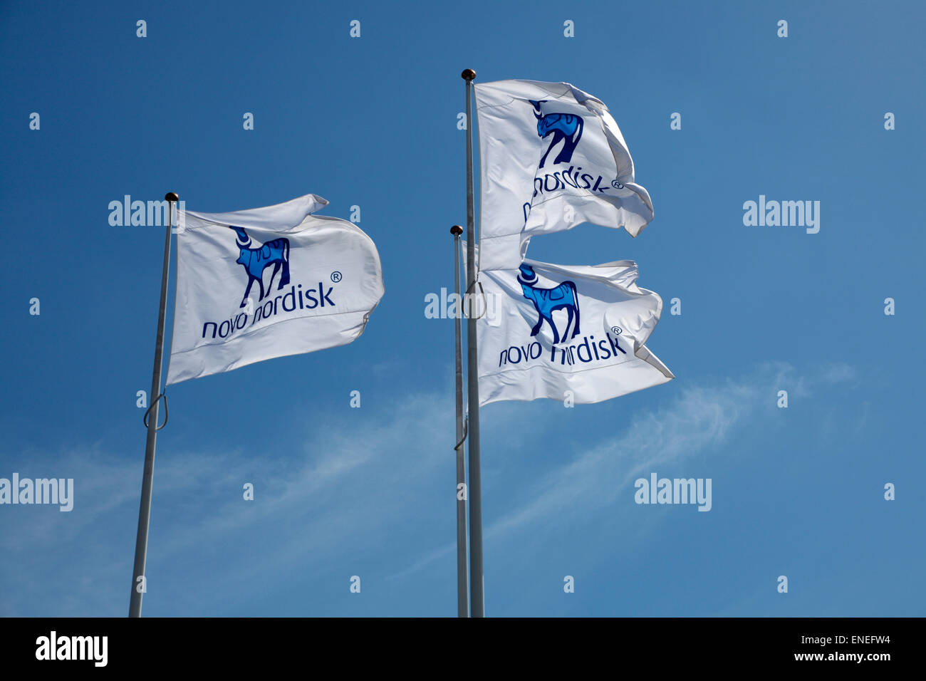 Les drapeaux de l'entreprise Novo Nordisk au siège à Bagsværd (Bagsværd), Copenhague, Danemark. Banque D'Images