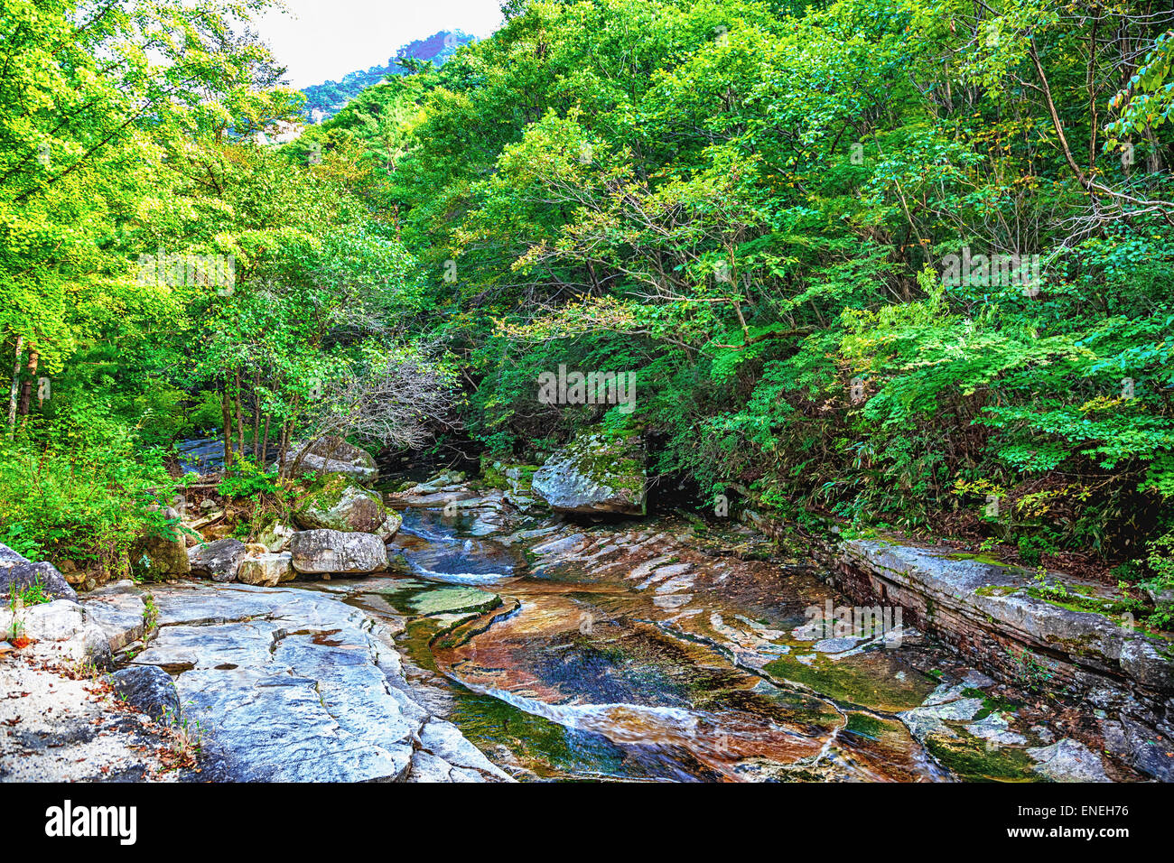 Rivière avec des rochers et des pierres dans la forêt de montagne en Corée du Sud Banque D'Images
