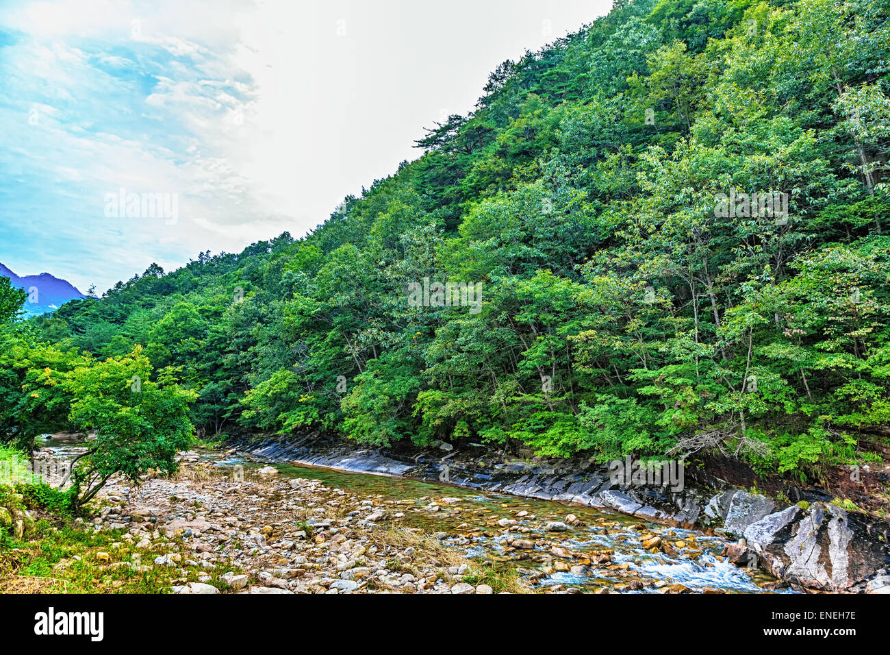 Rivière avec des rochers et des pierres dans la forêt de montagne en Corée du Sud Banque D'Images