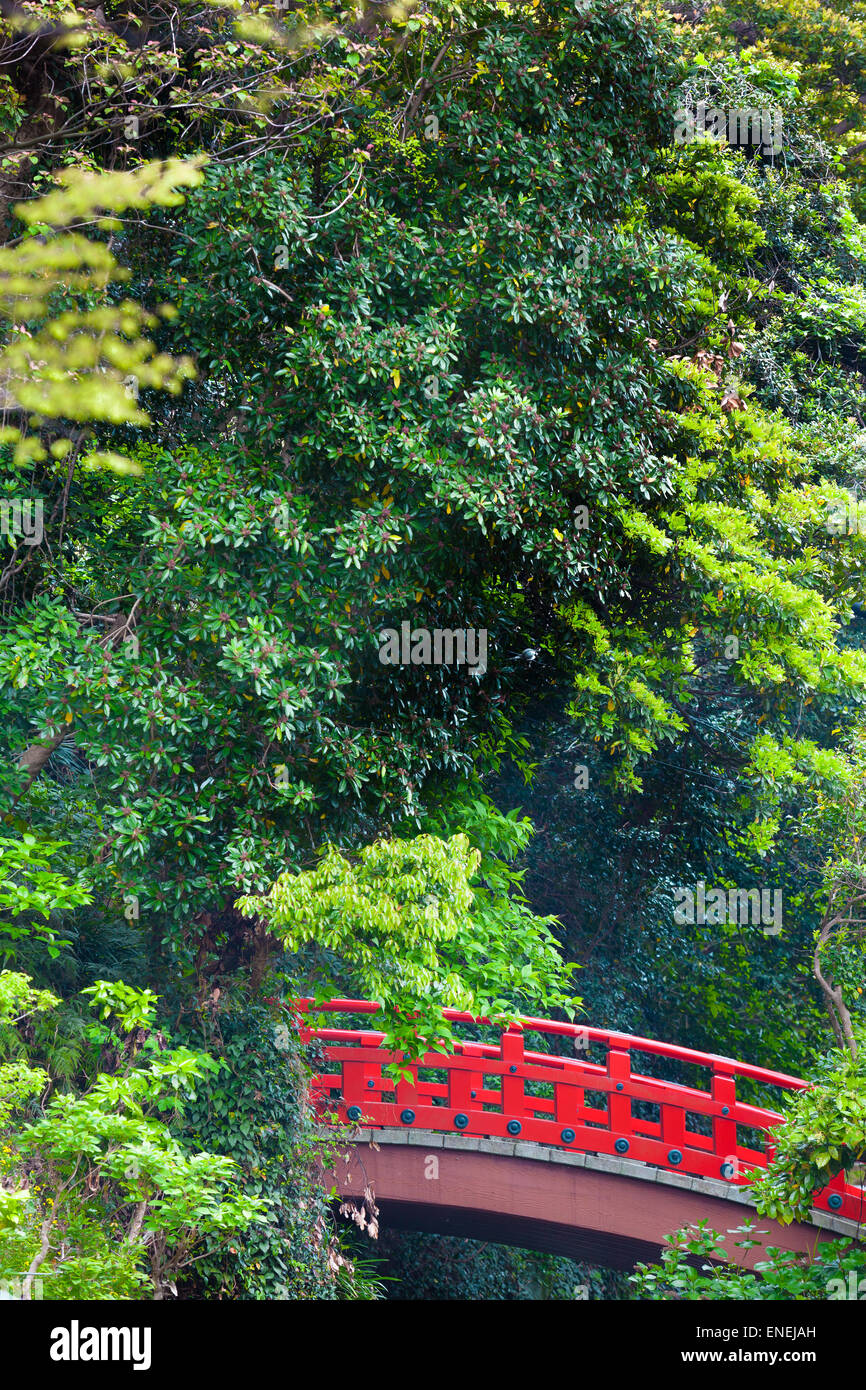 Petit rouge pont japonais dans une forêt verte Banque D'Images