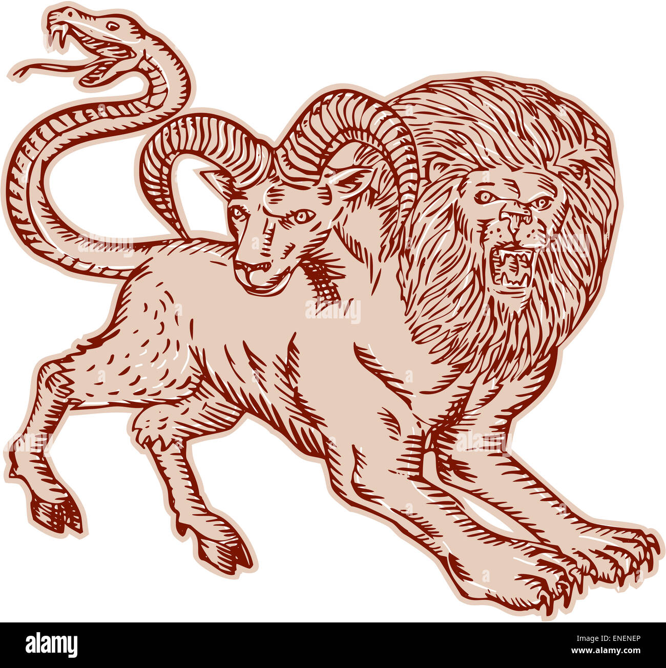 Gravure Gravure Illustration style fait main d'une chimère, créature mythique grec avec tête de lion et chèvre et la queue qui s'est terminée dans une tête du serpent vu de côté sur fond isolé. Banque D'Images