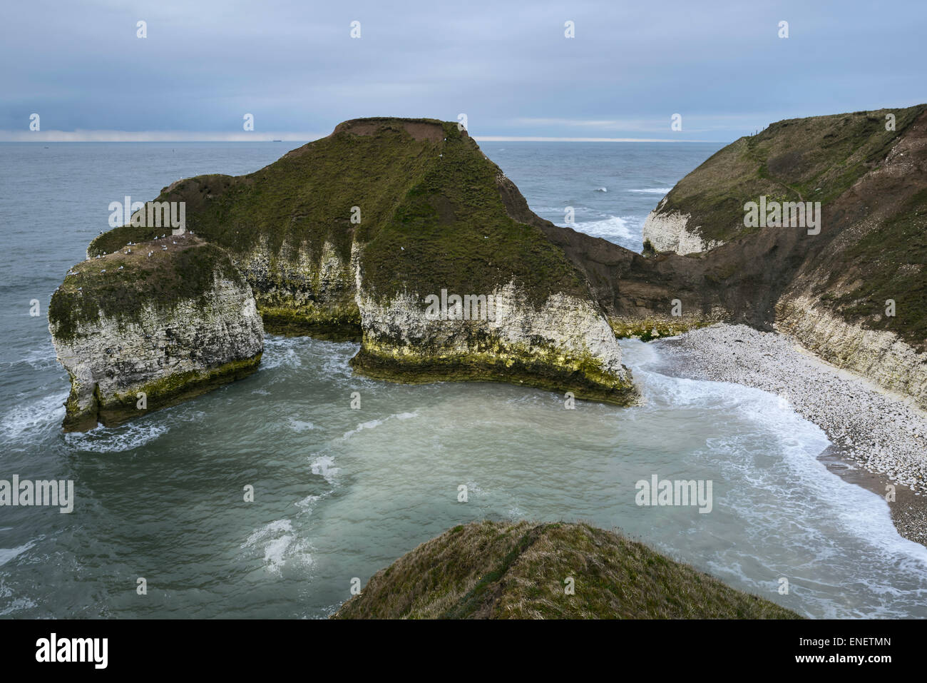 La côte sauvage avec des falaises de craie et de flore que l'aube sur la mer du Nord à Flamborough Head, Yorkshire, UK.u Banque D'Images