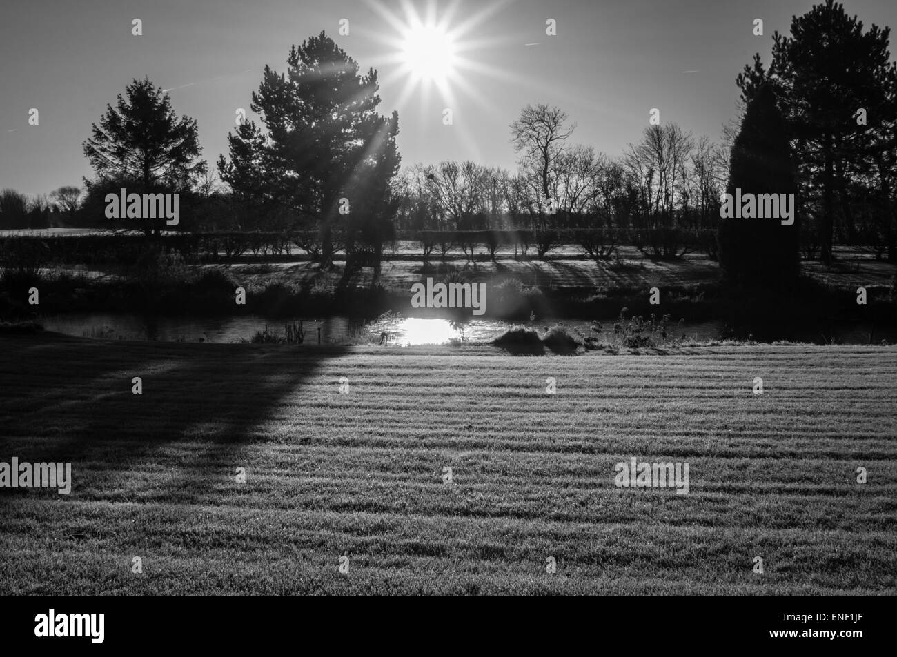 Couverts de givre sur l'herbe un matin hivers Banque D'Images