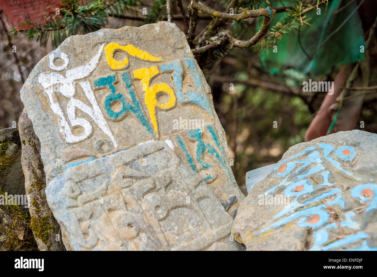 Vieille pierres mani inscrit avec un mantra bouddhiste dans l'himalaya, Népal Banque D'Images