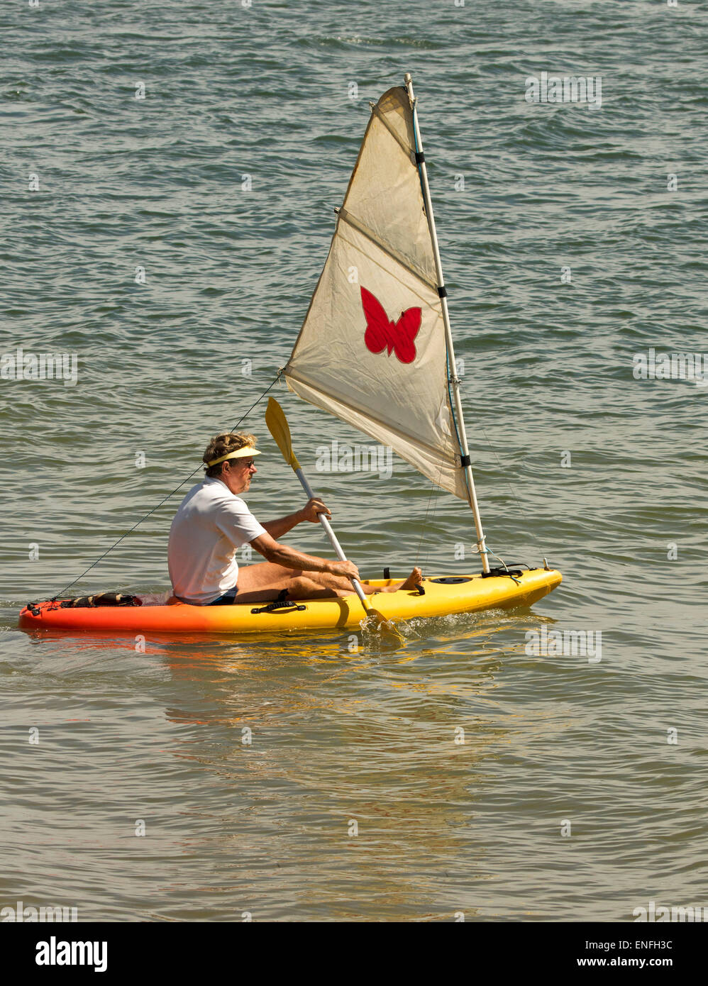 L'homme aux couleurs vives pagaie voile sur l'eau calme près de la plage Banque D'Images