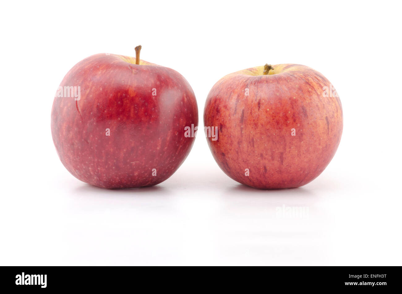 Deux pommes n isolé sur fond blanc Banque D'Images