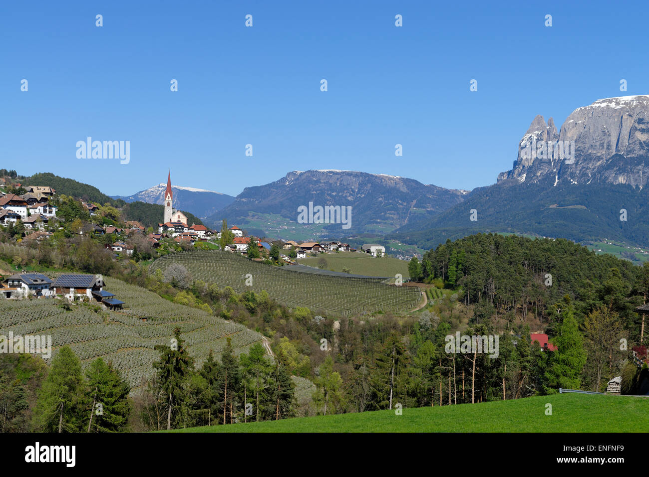 Paysage près de Unterinn sur le Renon Renon avec massif du Sciliar, près de Bolzano, le Tyrol du Sud, Italie Banque D'Images