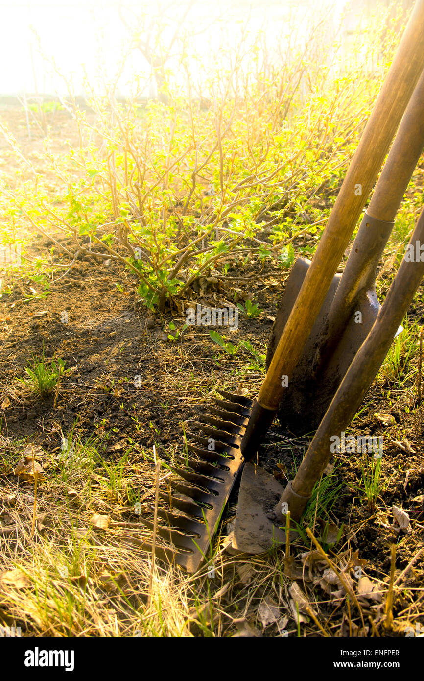 Les 10 Outils Indispensables Du Bon Jardinier - Nature 33