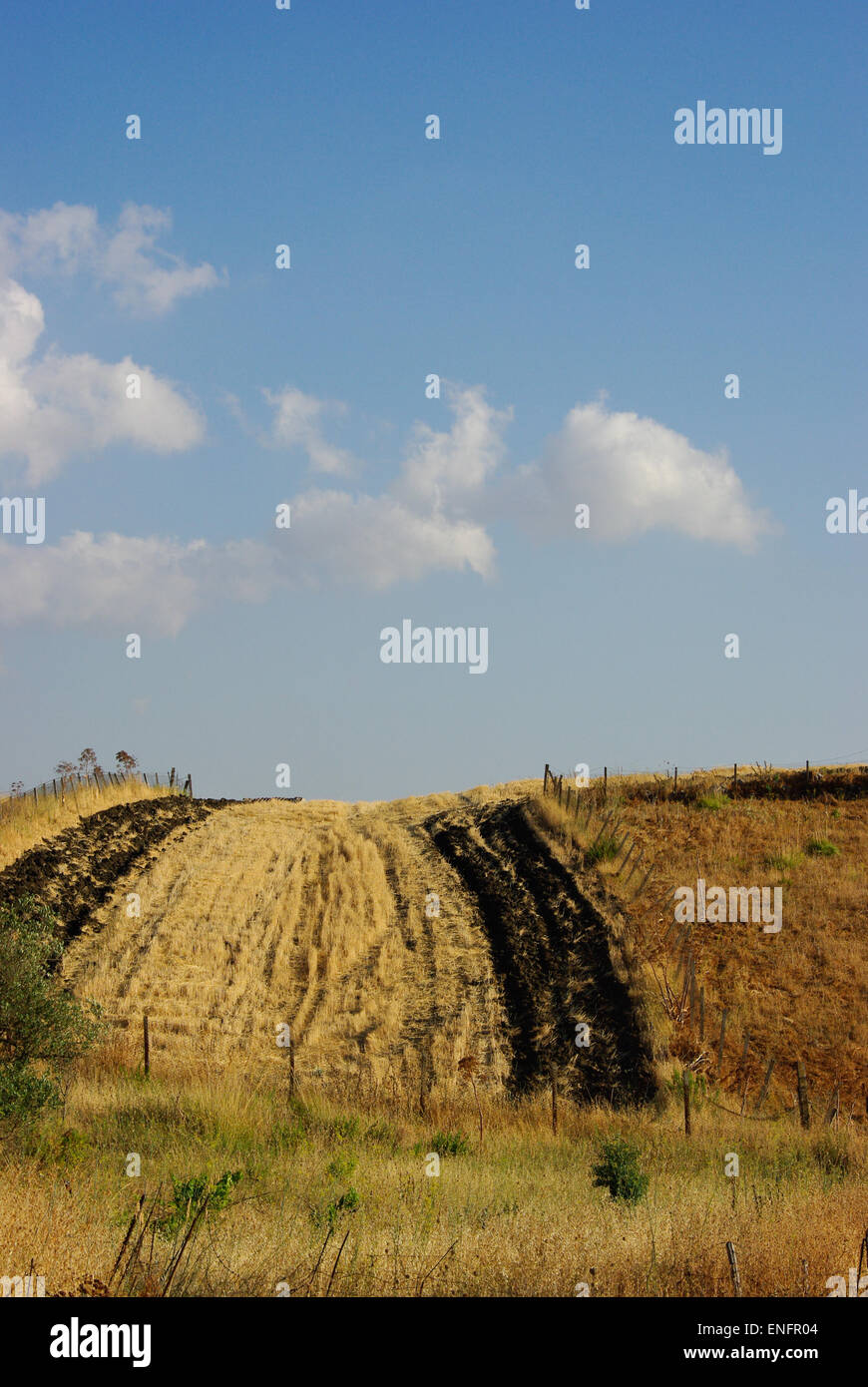 Sicile, champs, Campagne, Italie, prés Banque D'Images