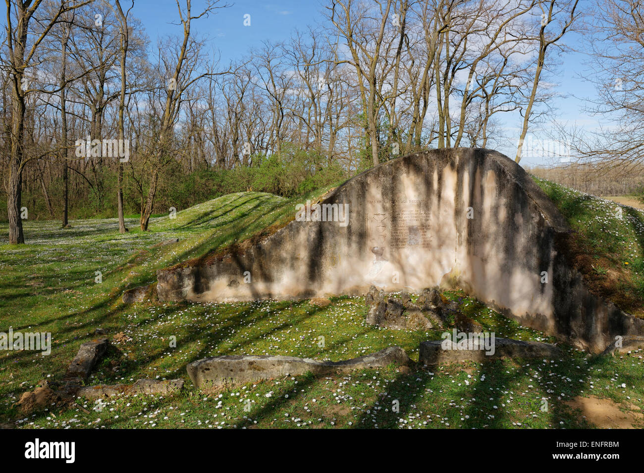 Tumulus de l'âge du Bronze dans la forêt, Schussenwald Siegendorf, Nord de Burgenland, Burgenland, Autriche Banque D'Images