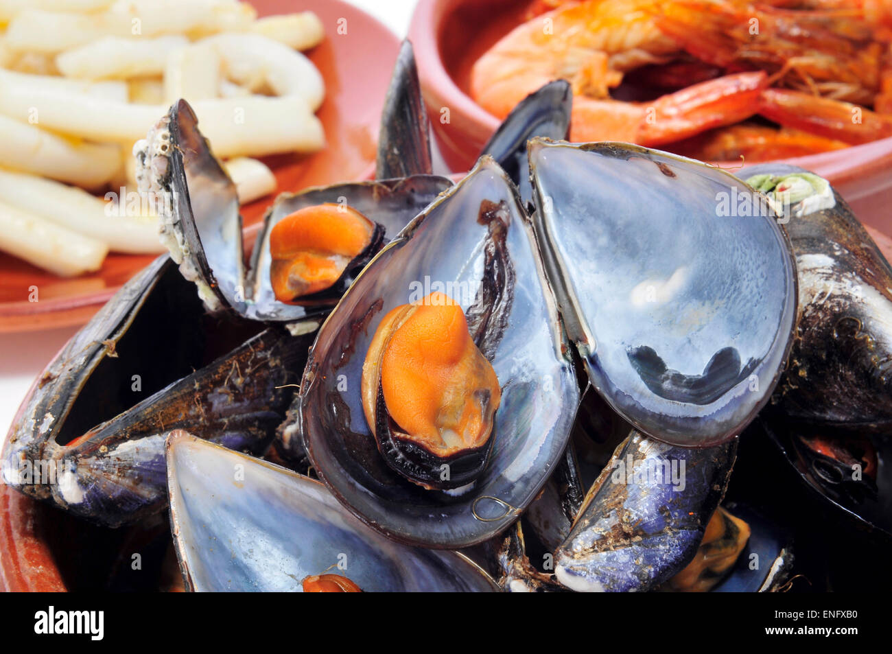 Libre de quelques tapas de fruits de mer, tels que moules moules vapeur vapeur (al), gambas al ajillo (crevettes à l'ail) ou Banque D'Images