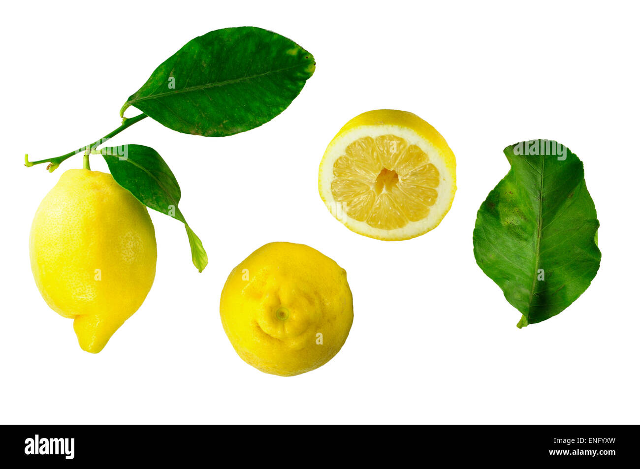 Toute une moitié de citron et de feuilles de citron. Banque D'Images