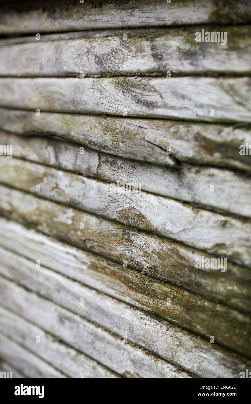 Le bois pourri sur un vieux véhicule Banque D'Images