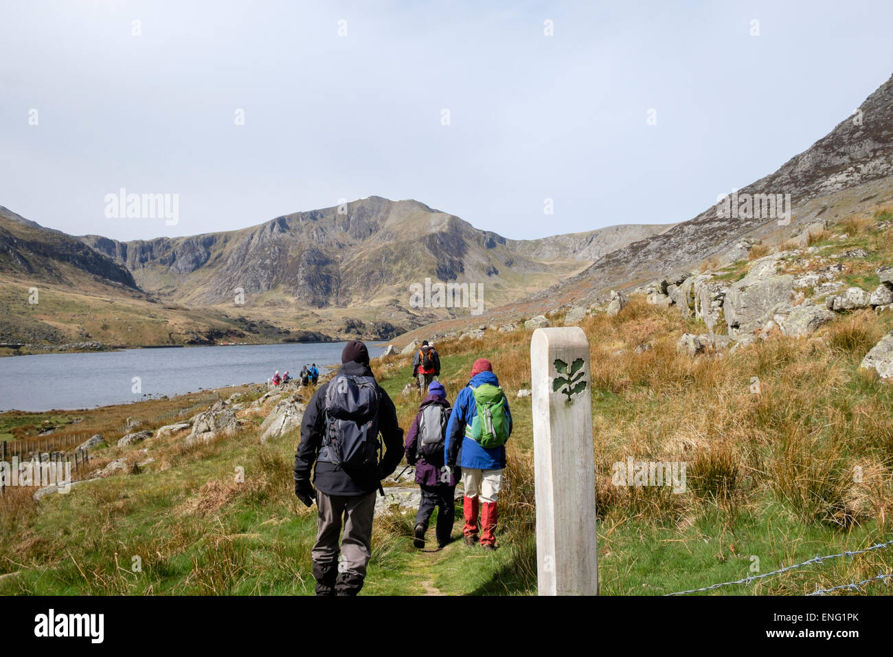 Groupe de randonneurs de personnes à pied par sentier signe sur le chemin au bord du lac autour de Llyn Lac Ogwen en montagnes de Snowdonia National Park (Eryri) Wales UK Banque D'Images