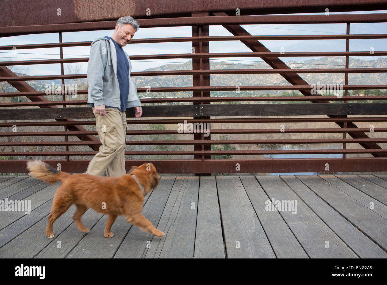 L'homme et le chien de race blanche marche sur pont en bois Banque D'Images