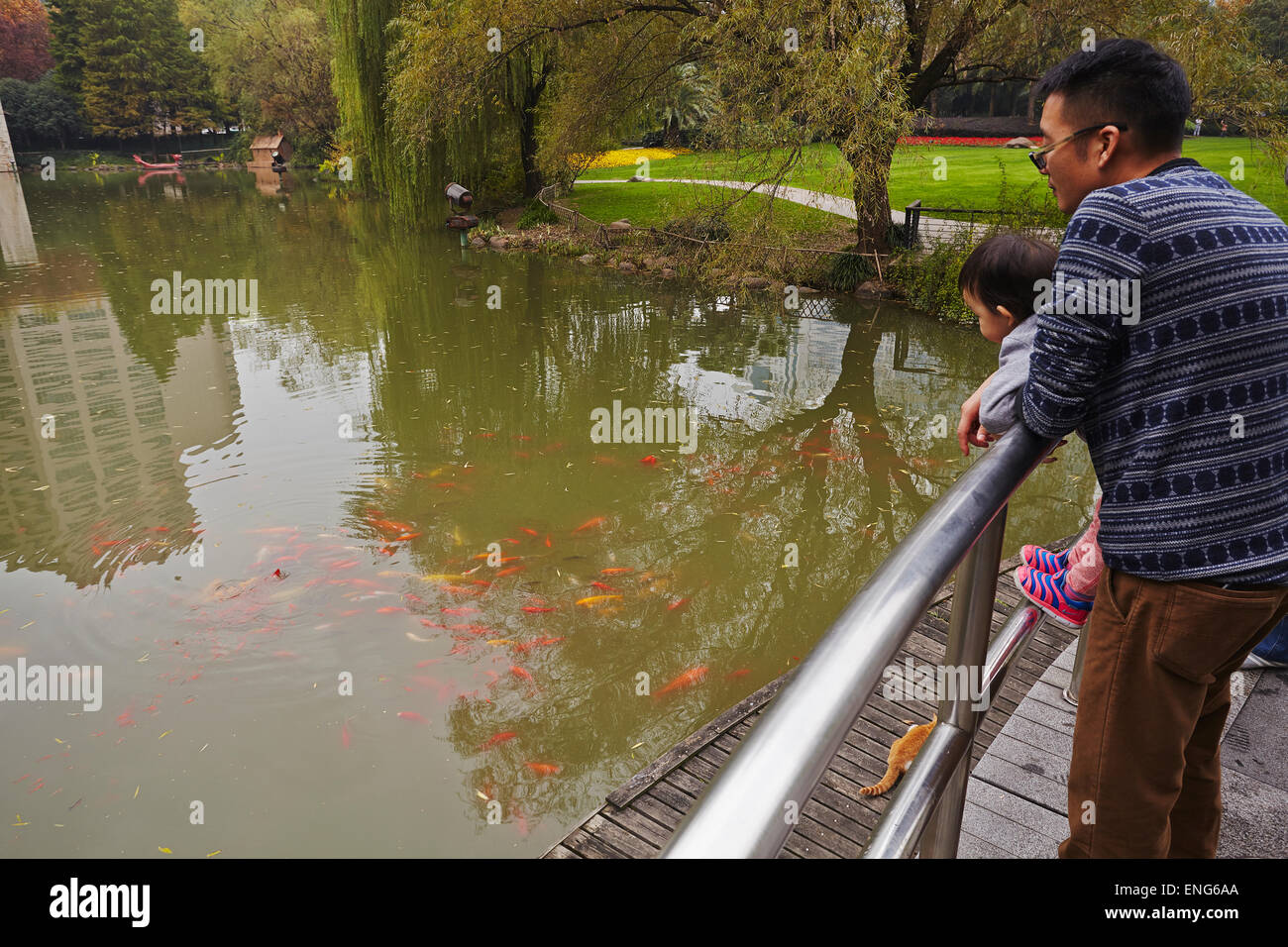 Un père et son bébé l'alimentation de la carpe koï dans Guangchang Park, près de Xintiandi, Shanghai, Chine. Banque D'Images