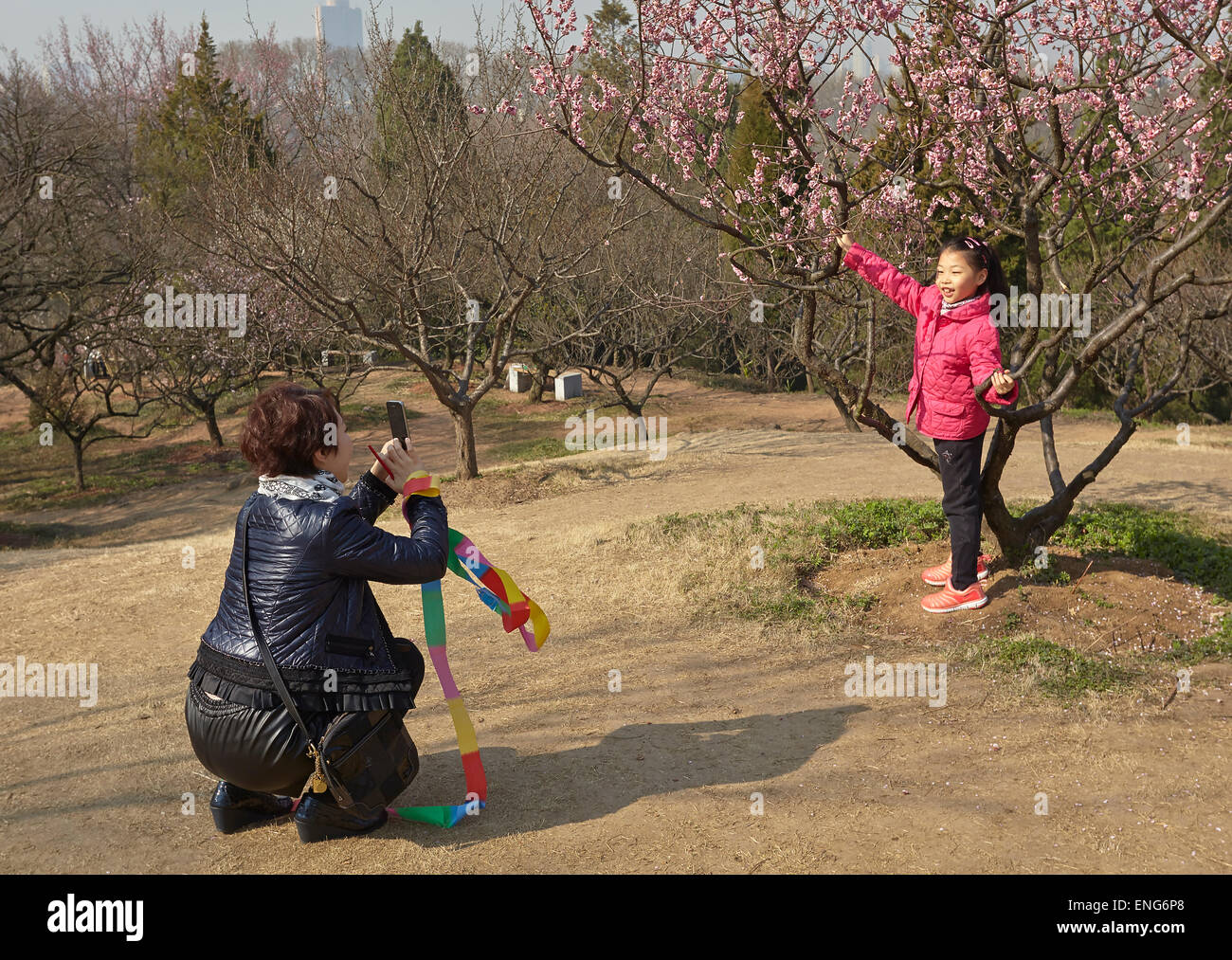 Un enfant qui pose pour des photos en face de printemps fleurs de prunier, à Mingxiaoling, le tombeau du premier empereur de la dynastie Ming, Nanjing Banque D'Images