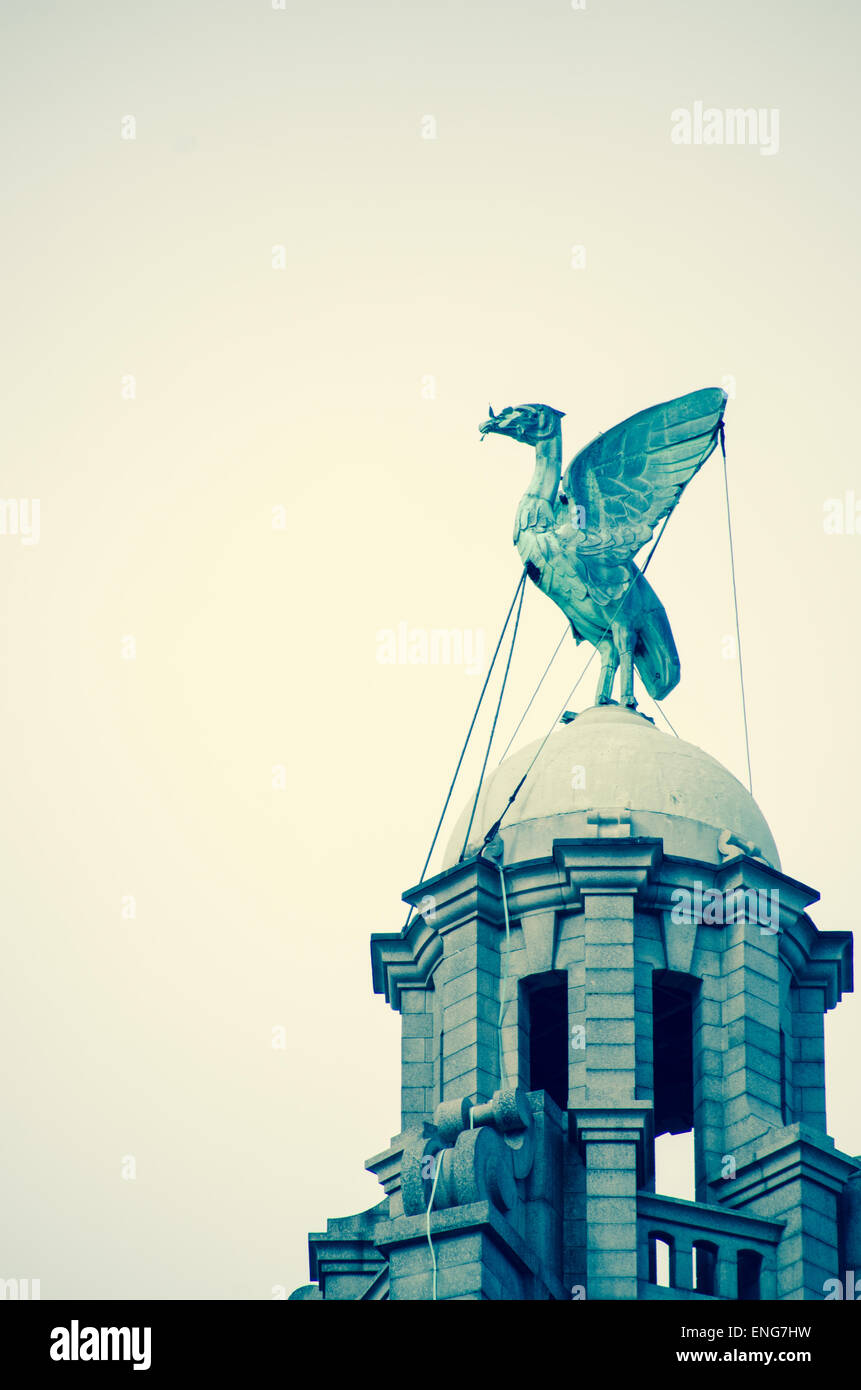 Les oiseaux, du foie Liver Building, Liverpool, Merseyside, Mersey, Banque D'Images