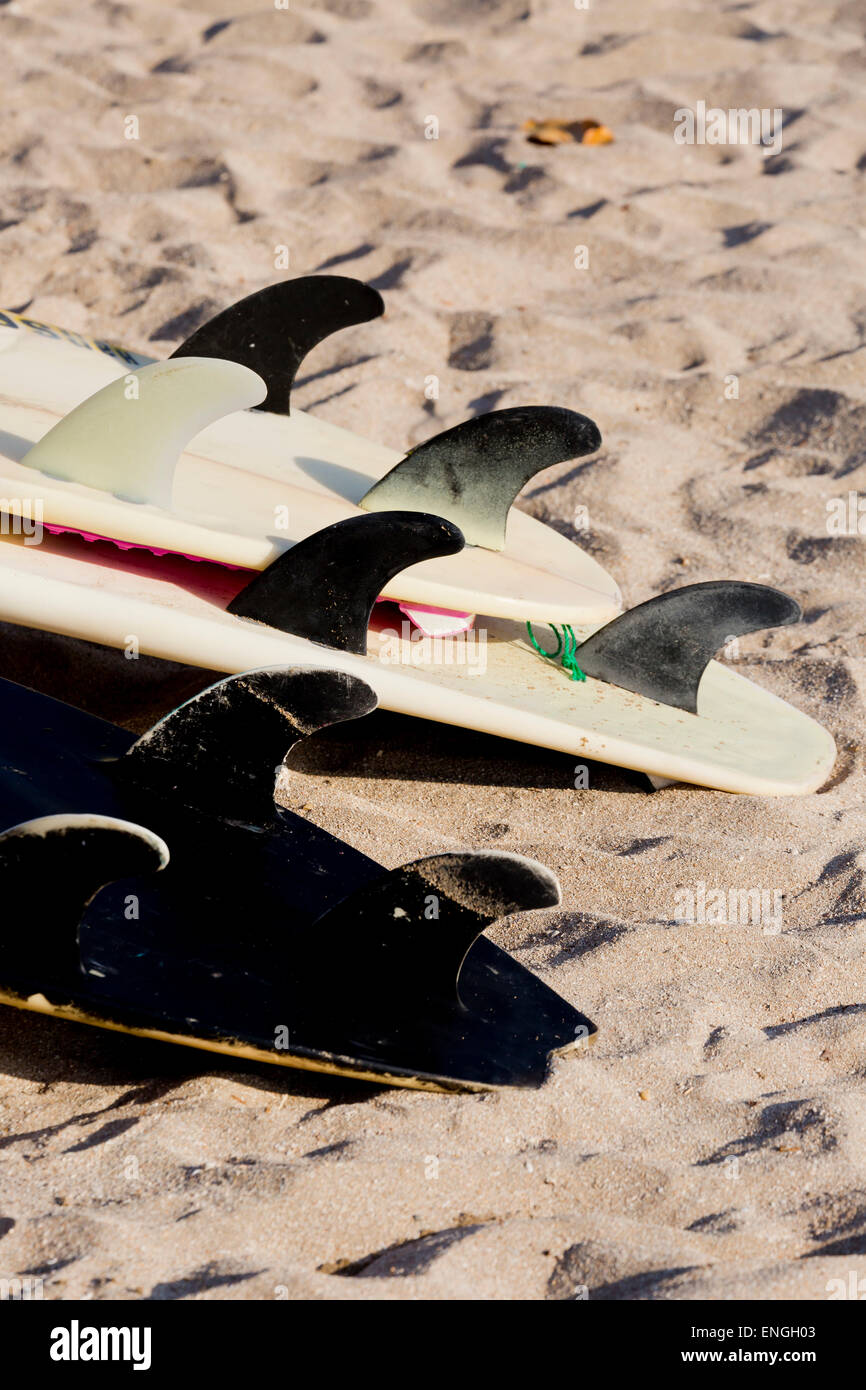 Planche de surf sur la plage de Kuta, Bali, Indonésie Banque D'Images
