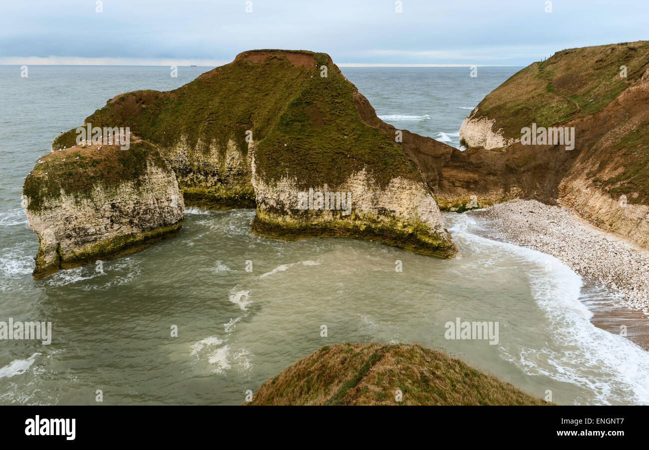 La côte sauvage avec des falaises de craie et de flore que l'aube sur la mer du Nord à Flamborough Head, Yorkshire, UK. Banque D'Images