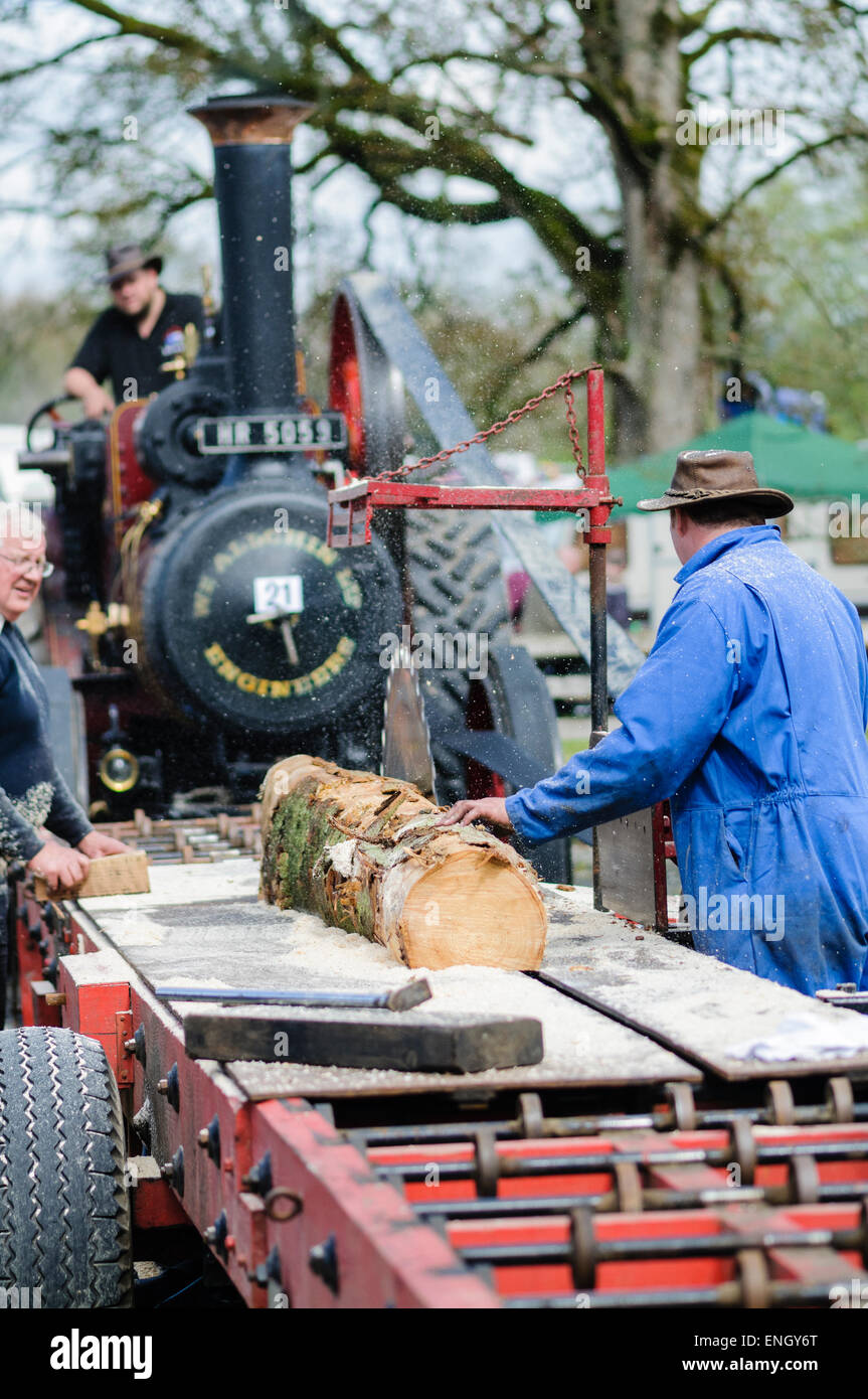 La traction d'un moteur entraîne une grande lame de scie alors qu'il coupe un tronc d'arbre à la taille Banque D'Images