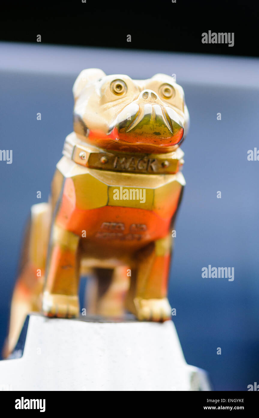 Bulldog mascot sur le capot d'un camion Mack. Banque D'Images