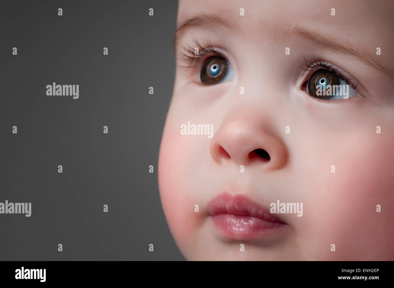 Close up portrait of a cute Caucasian baby garçon aux grands yeux bruns sur fond gris Banque D'Images
