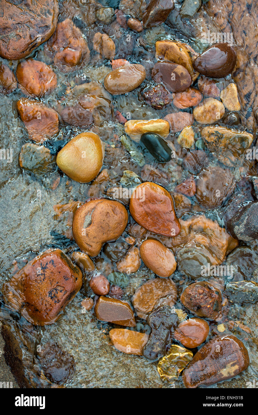 Plage de galets colorés par des gisements de minerai de fer provenant de l'eau sur la plage de spittal. Berwick-on-Tweed. L'Angleterre Banque D'Images