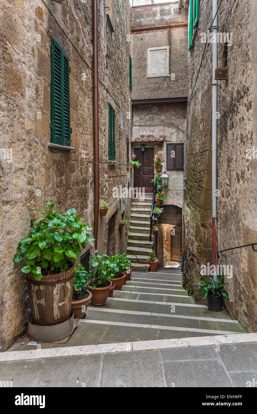 Ascendant et descendant les escaliers en brique avec des plantes en pot à Pitigliano, Province de Grosseto, Italie Banque D'Images